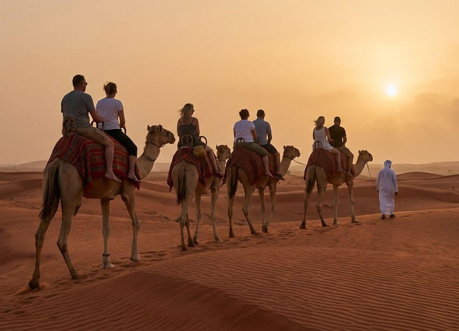 5-desert-safari-dubai-family-camel-tour
