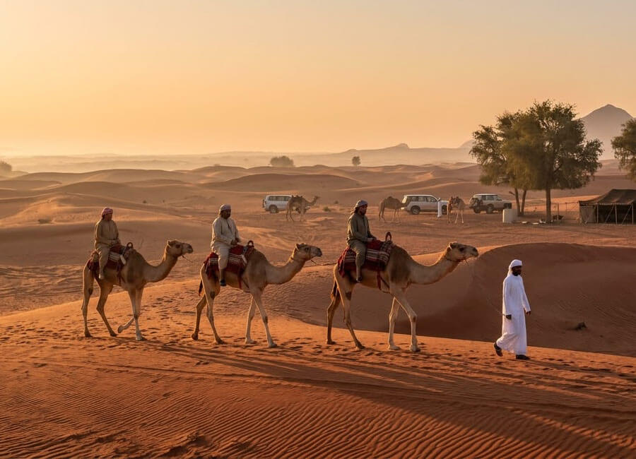 9-morning-desert-safari-with-camel-ride-dubai