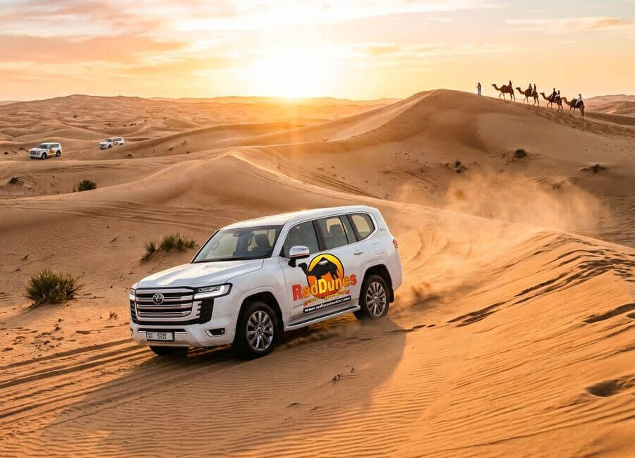 6-morning-private-desert-safari-dubai